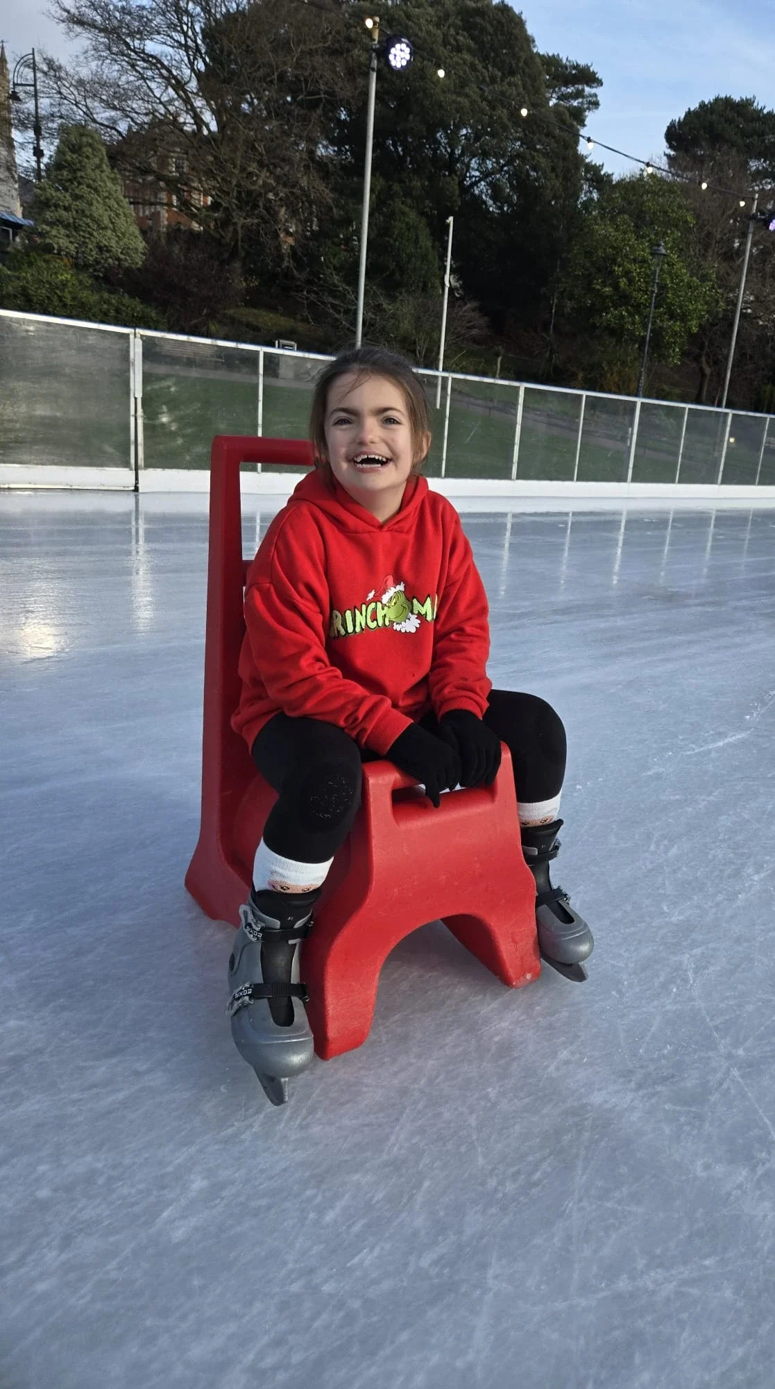 Ebony amelias rainbow